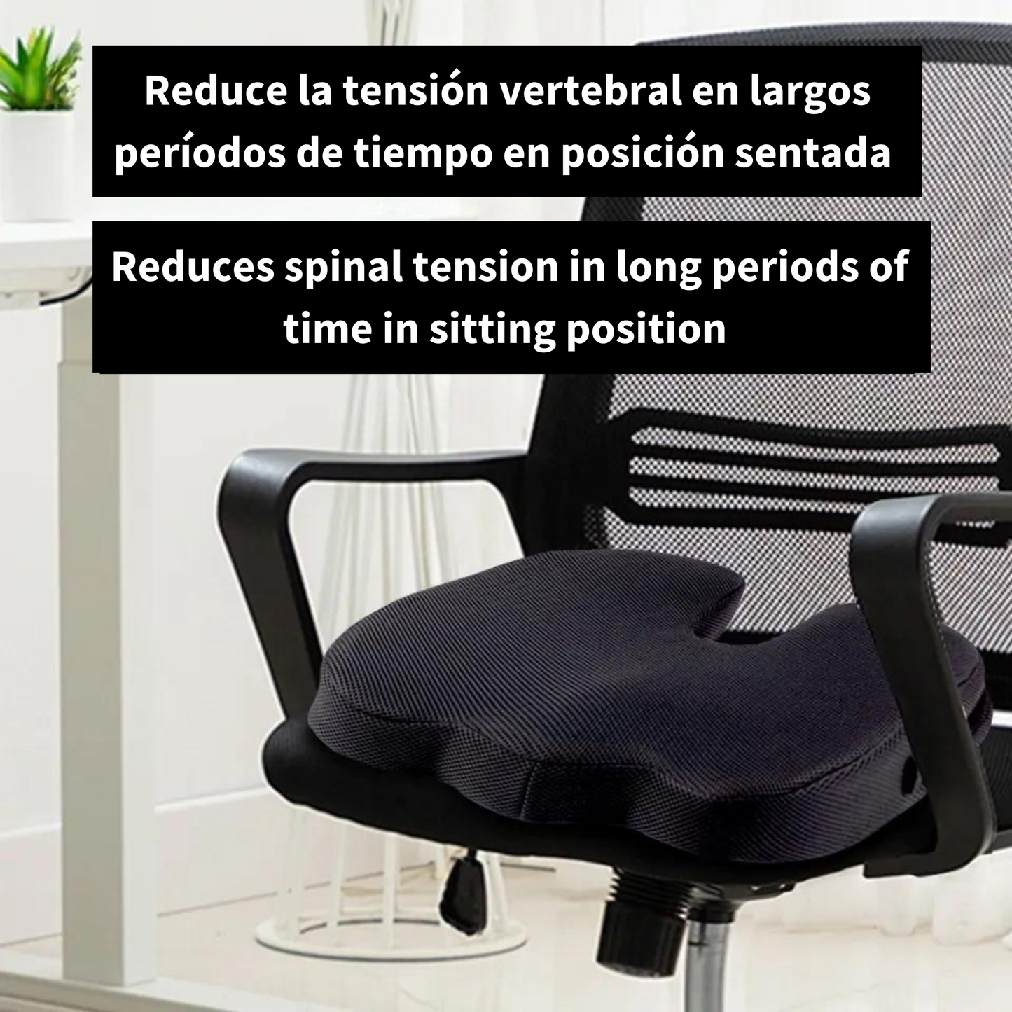ErgoPosture Seat