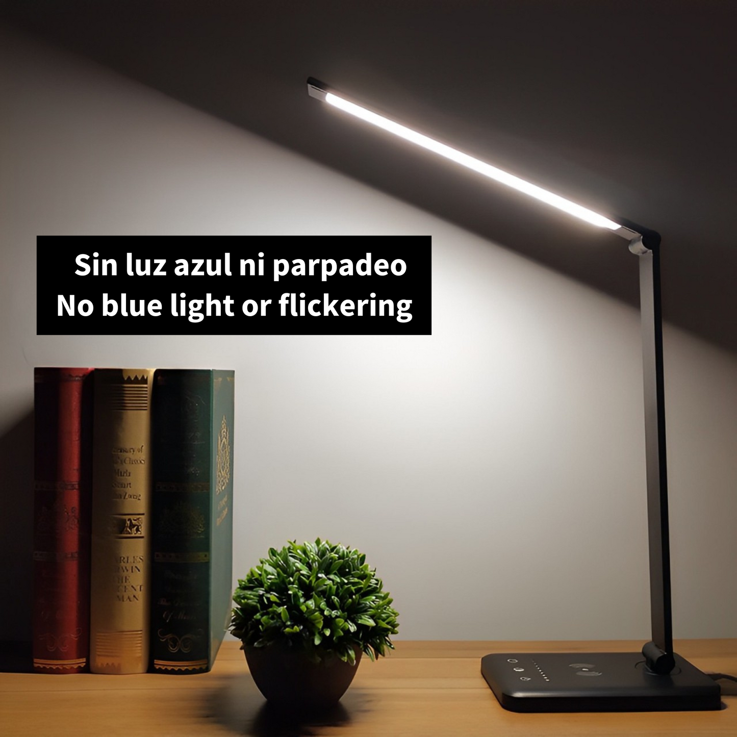 ErgoLight Desk